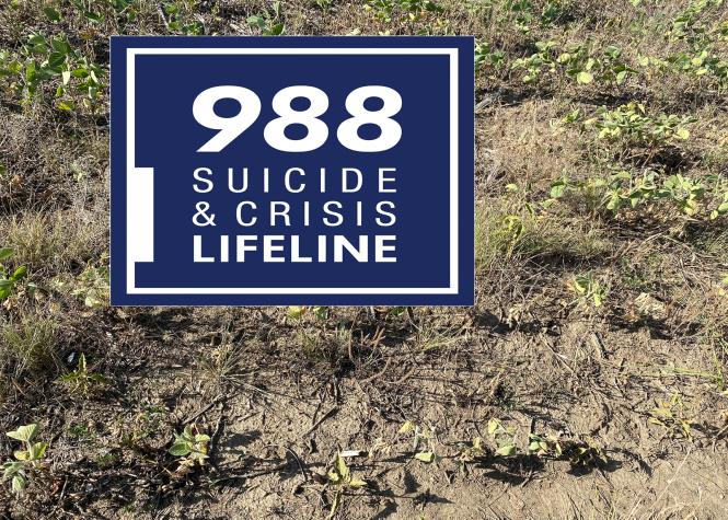 Drought affects more than plants and livestock. September – National Suicide Prevention Month – is a painful reminder that life is tough in rural America, especially after major events such as drought and flood. Soybean photo by Valerie Tate, University o