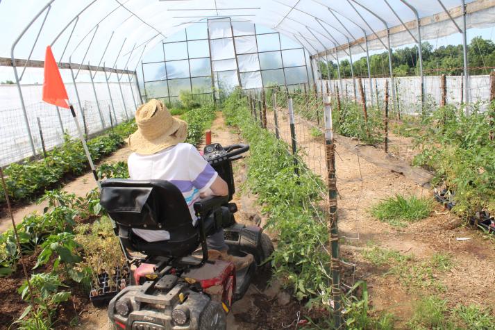 AgrAbility looks for ways to make travel through Kim DaWaulter's greenhouse and around the farm easier for her.Linda Geist