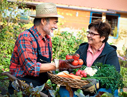 gardener sharing tomatoes