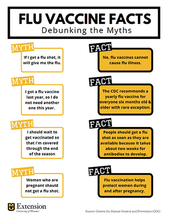 Image of Debunking Myths handout