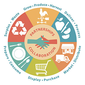 Circular illustration showing processes of food systems