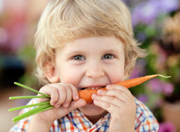 Boy eating carrot