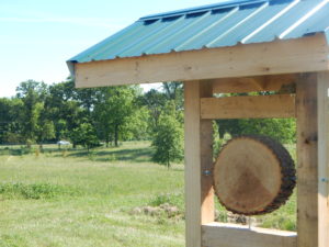 The Native Tree Grove at Jefferson Farm and Garden