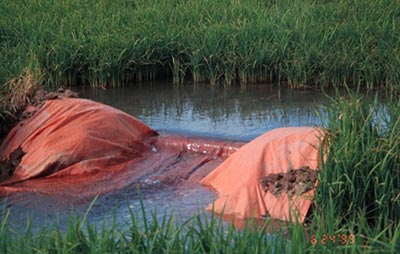 A levee gate out in the field controlling water depth in a flooded rice field