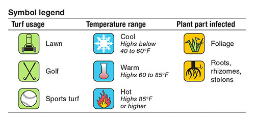 icon descriptions