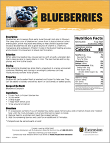 blueberries