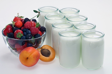 Pots of homemade yogurt