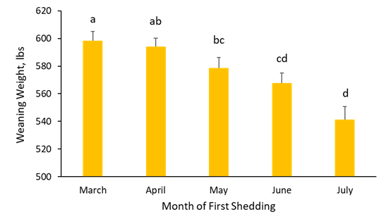 bar graph