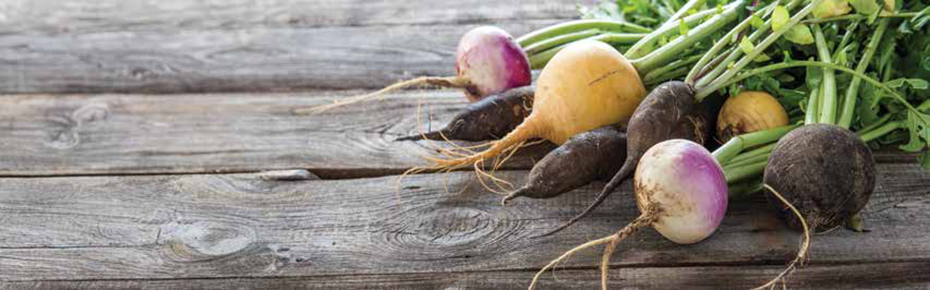 A flyer with tips and recipes highlighting produce grown in Missouri