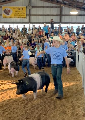 Levi Mense showing one of his pigs at the Lincoln County Fair in July 2021. Photo courtesy of Nancy Mense.