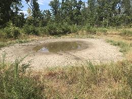 Dried up pond