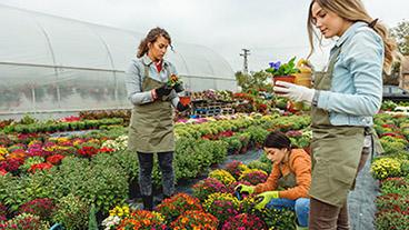 Garden team working in greenhouse.