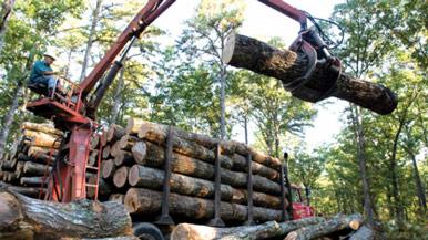 Logging machine