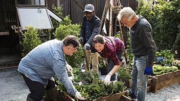 Group of people planting in raised garden beds