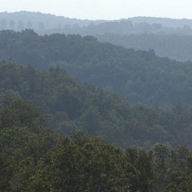 Missouri forest from the sky