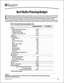 Beef Heifer Planning Budget publication, image of page 1