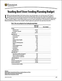 Yearling Beef Steer Feeding Planning Budget publication, image of page 1