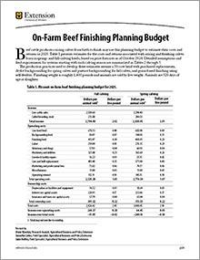 On-Farm Beef Finishing Planning Budget publication, image of page 1