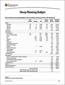 Sheep Planning Budget publication, image of page 1