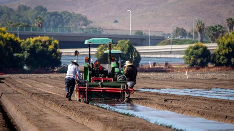 Soil fumigation of row