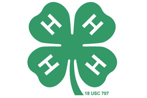 4H Emblem