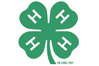 4-H Logo