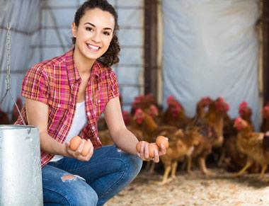 Woman holding eggs in the chicken coop