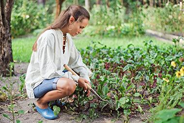 Woman using a small hoe to weed the vegetable garden