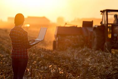 Women farmer with laptop out in the field of crops