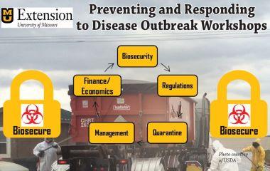 Outbreak Response