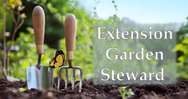 Garden Steward