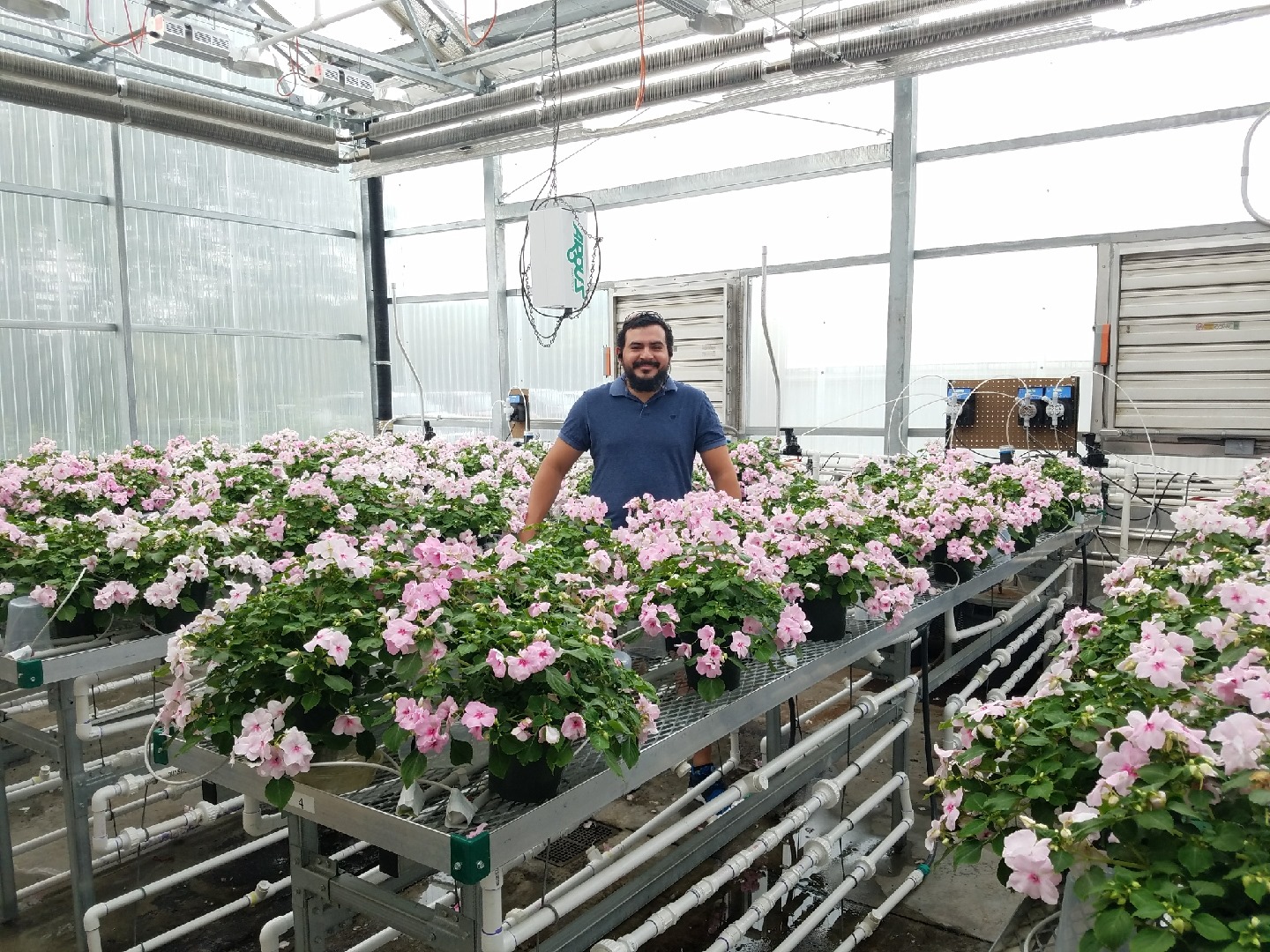 Juan Cabrera-García, MU Extension especialista en horticultura en el sureste de Missouri.