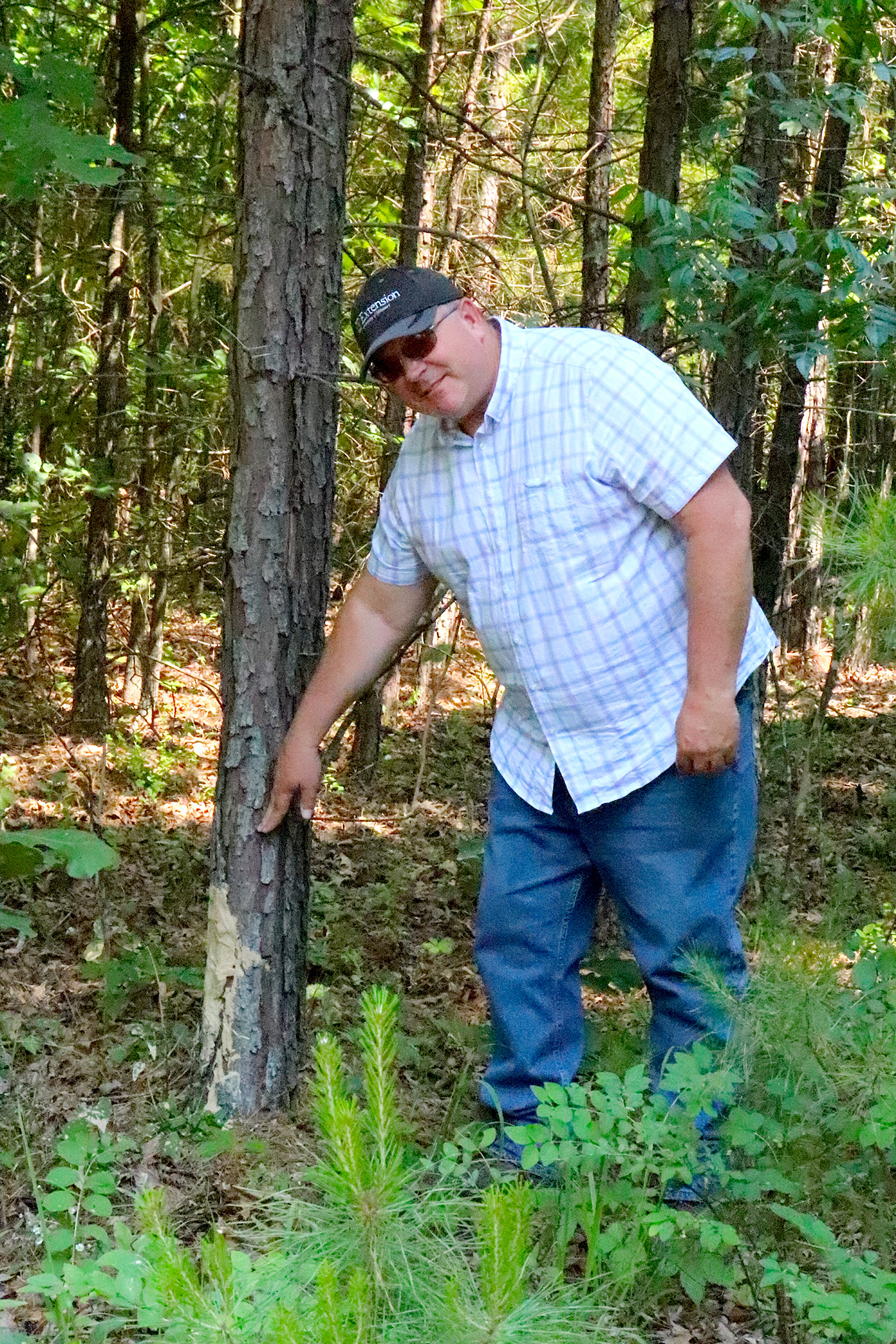 MU Extension feral hog outreach educator Kevin Crider points out where feral hogs have damaged trees. Hogs rub their bristly bodies on trees after wallowing in waterways. Photo by Linda Geist.