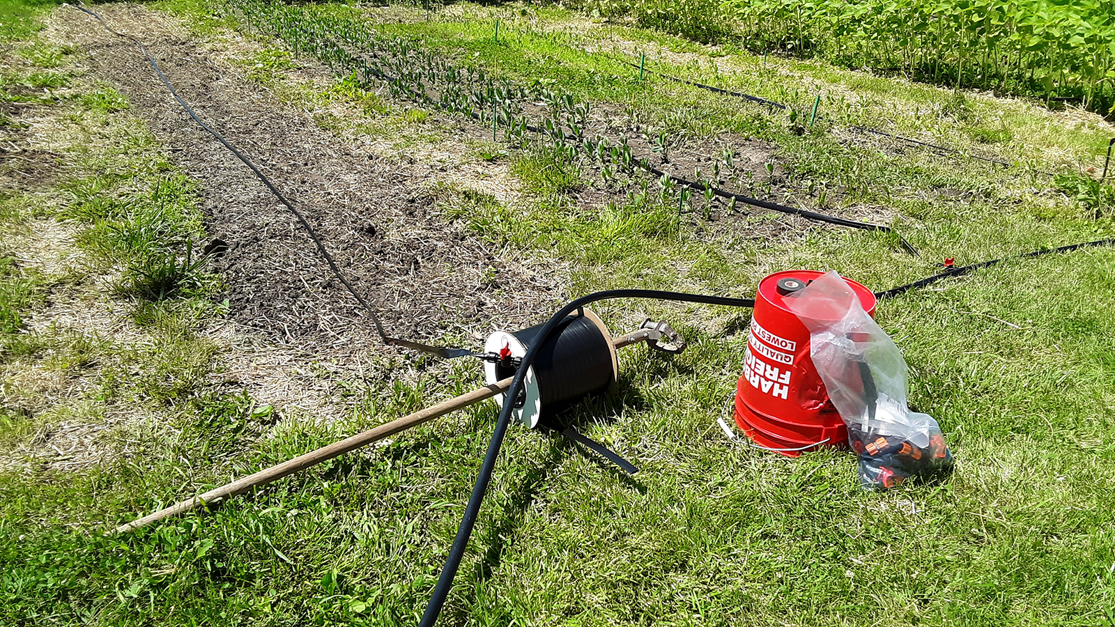 Drip irrigation system. Photo courtesy of Jennifer Schutter.