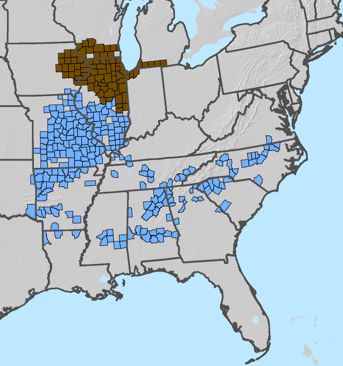 Cicada map