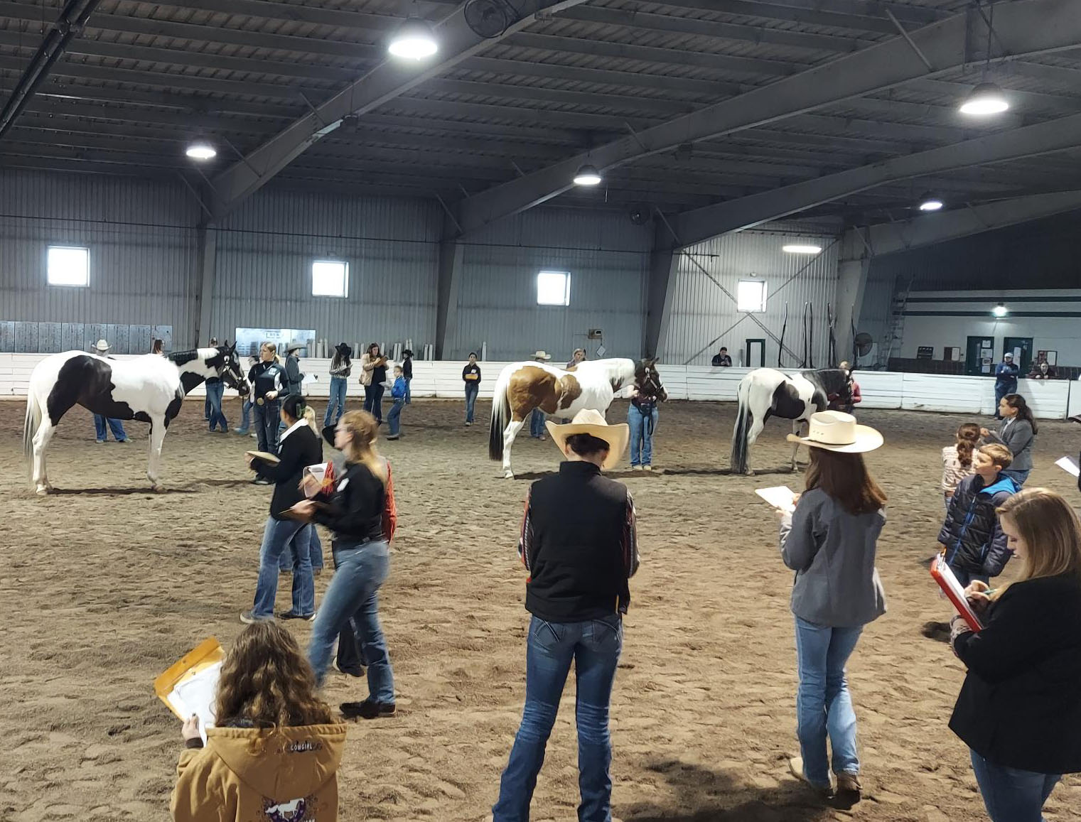 Halter class