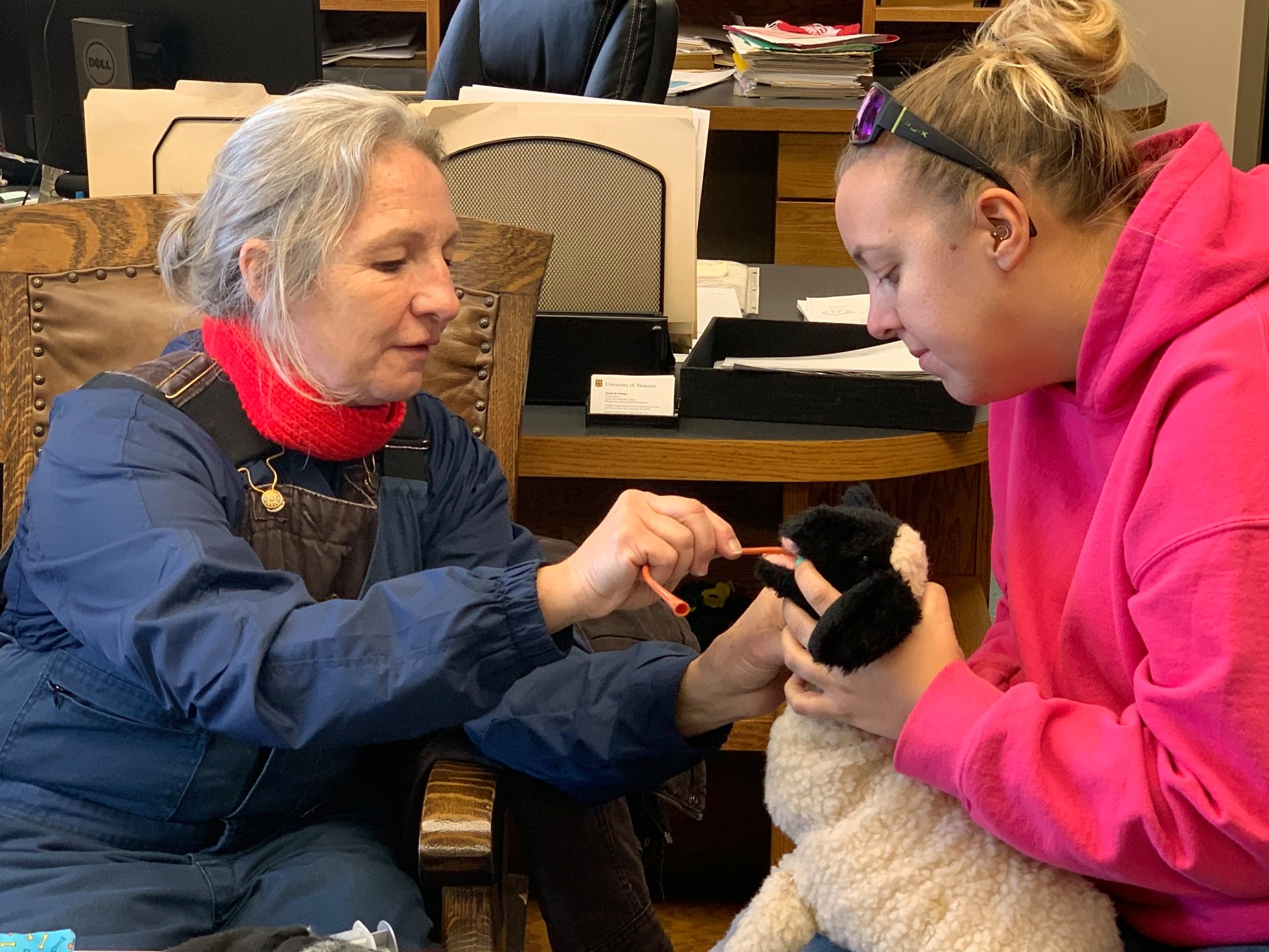 Inserting an esophageal feeding tube into a toy lamb during a small ruminant breakout session at a previous Pearls of Production conference. Photo by Heather Conrow.