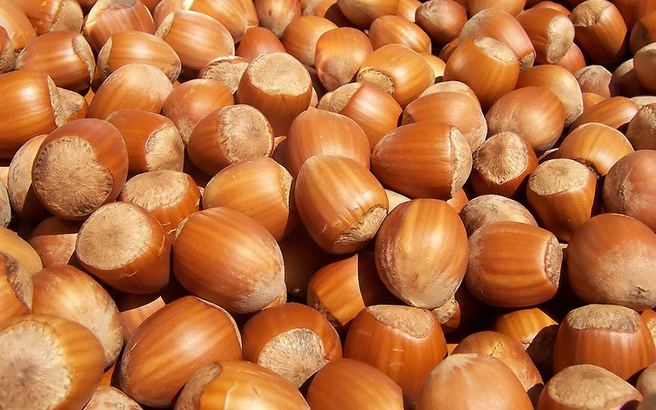 hazelnuts