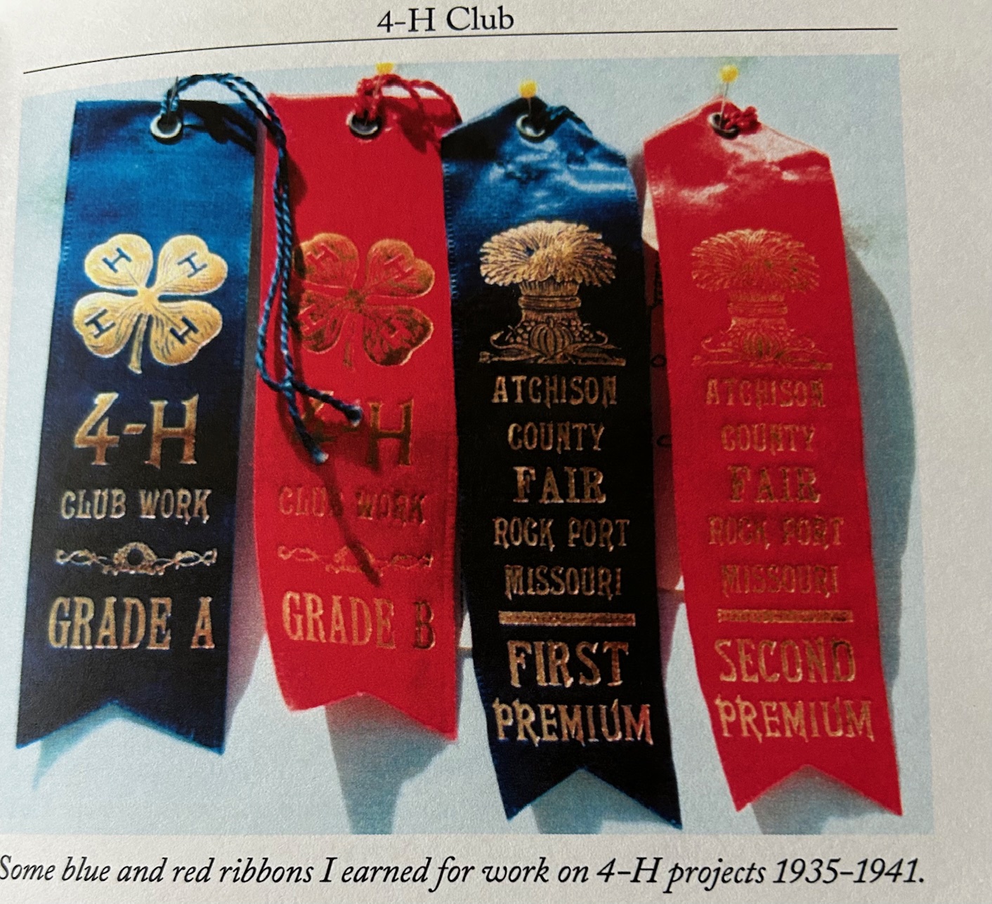 4-H ribbons