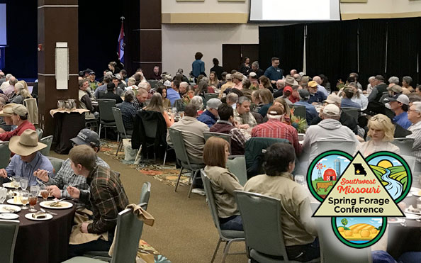 spring forage conference