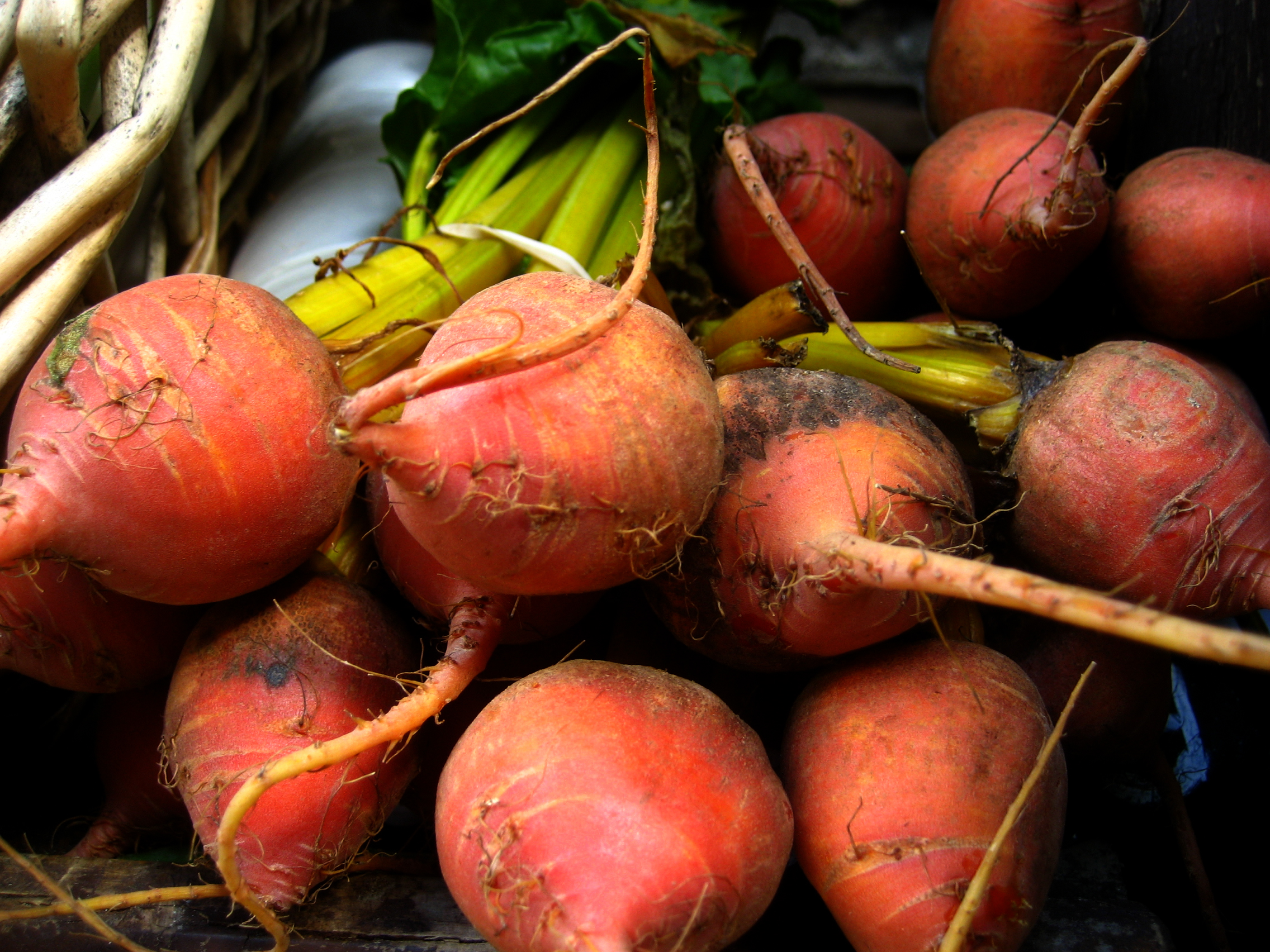 Harvested BeetsJeremy Keith