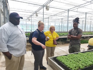 Hydroponic operations are one way to adapt to poor soil quality on the islands. Photo courtesy of Pat Miller.