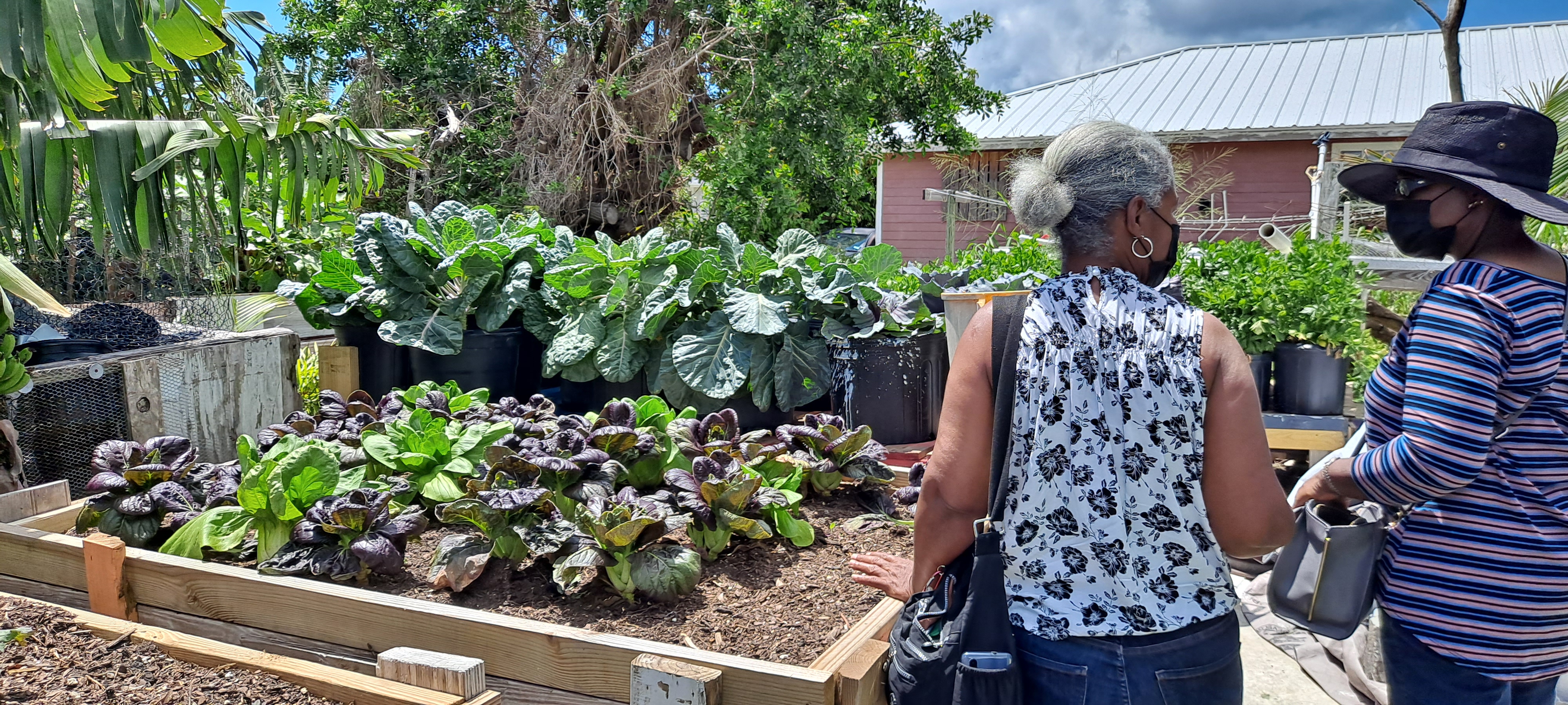 Providing agricultural education in the Bahamas is one way MU Extension is fulfilling its land-grant promise. Photo courtesy of Debi Kelly.