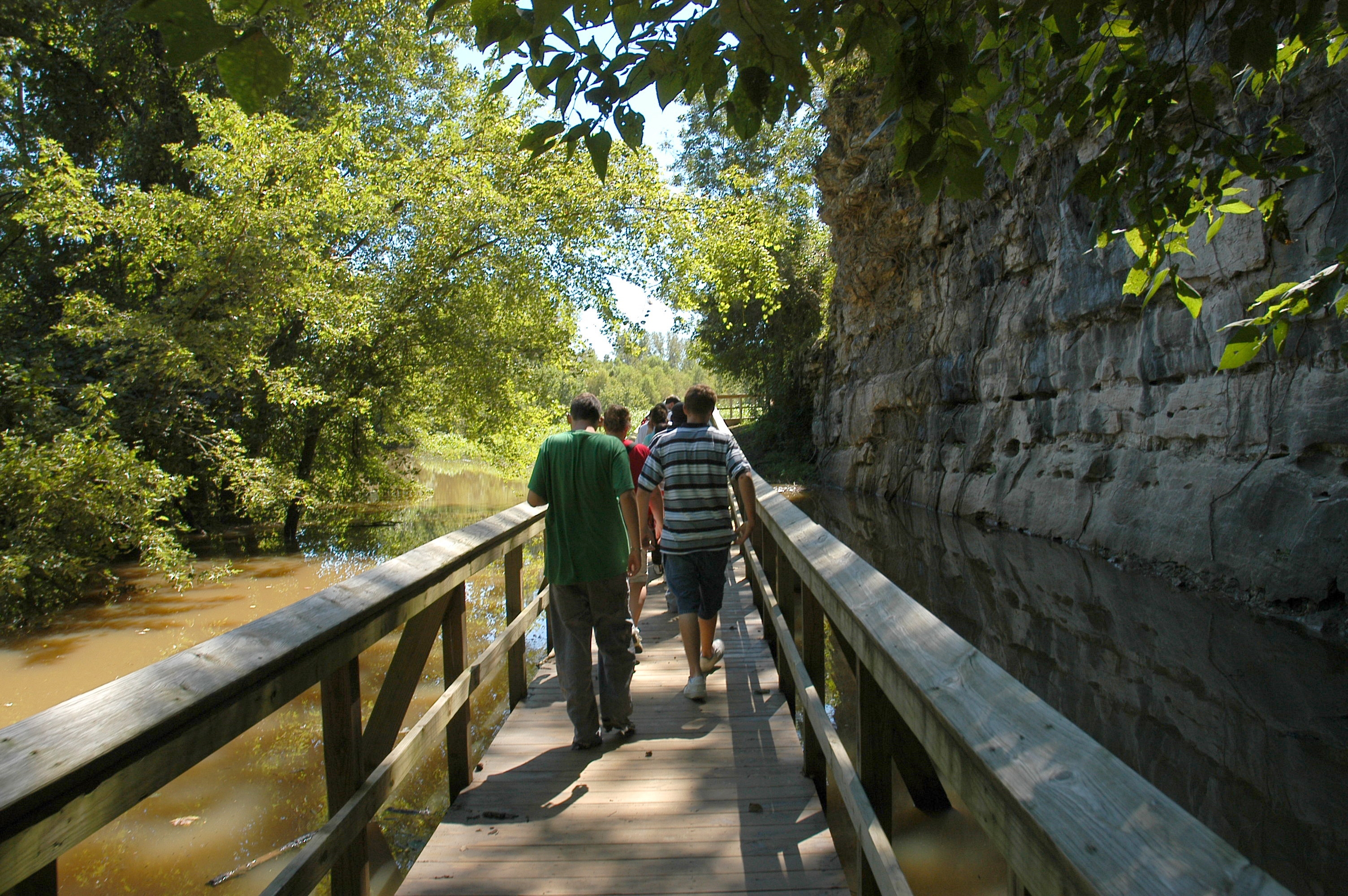 Walking on the boardwalk on Moniteau Creek at Diana Bend, near Rocheport. Due to heavy rains, waters just touched the bottom of the boardwalk.MU Photo