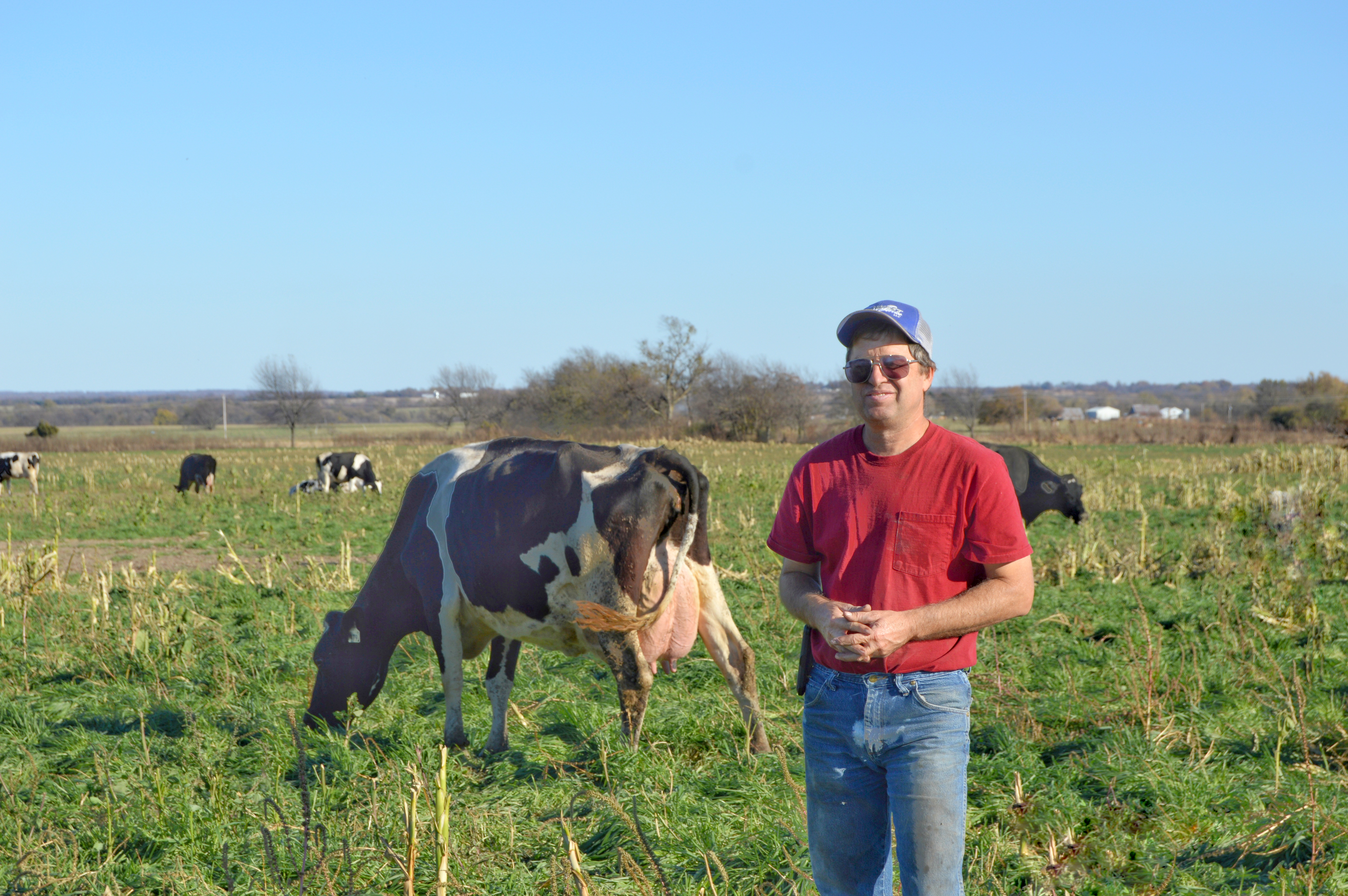 Karl Wilke, a fifth-generation dairy farmer, owns Dezi, a Holstein nominated for the Cow of the Year award. Photo courtesy of Reagan Bluel