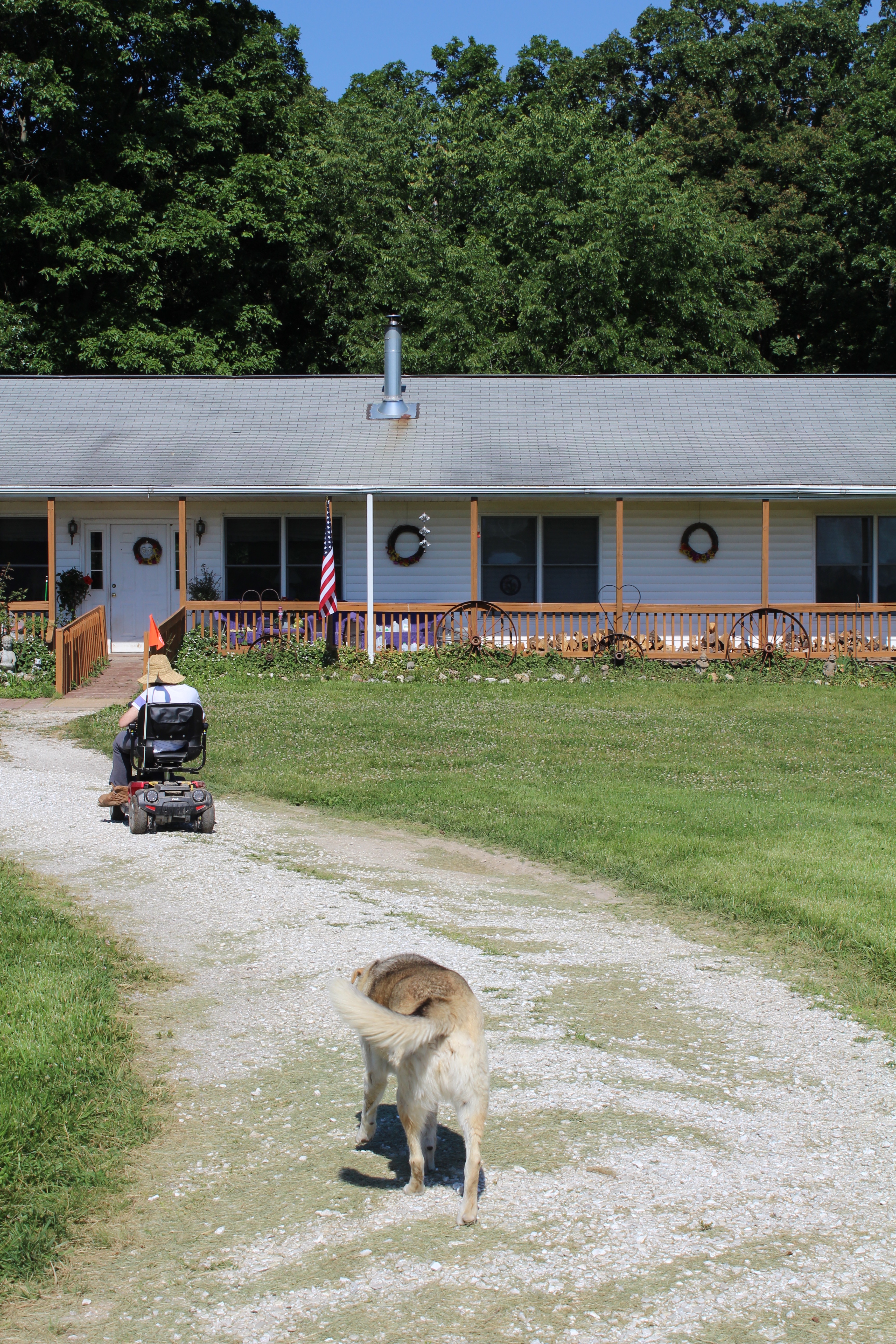 Much of Kim DaWaulter’s farm work is dependent upon weather conditions and sunlight. She uses a scooter to move to a greenhouse and to feed animals.Linda Geist